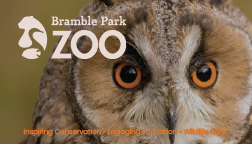 Bramble Park Zoo business card front